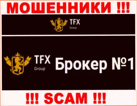 Не стоит доверять вложения TFX Group, так как их область деятельности, ФОРЕКС, капкан