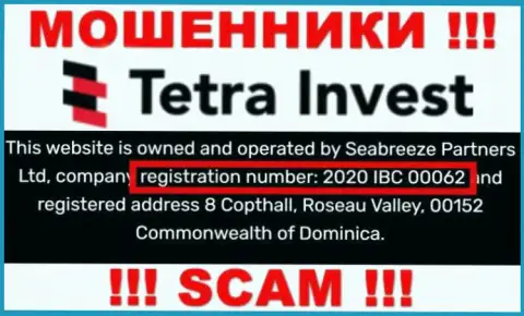 Номер регистрации интернет мошенников Tetra Invest, с которыми довольно-таки опасно иметь дело - 2020 IBC 00062