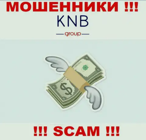 Намереваетесь увидеть кучу денег, сотрудничая с компанией KNB-Group Net ? Эти интернет мошенники не дадут