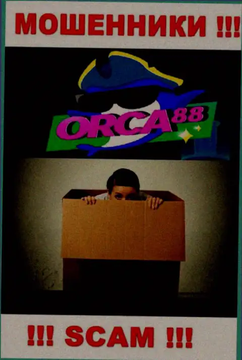 Руководство Orca 88 в тени, на их официальном сайте этой информации нет