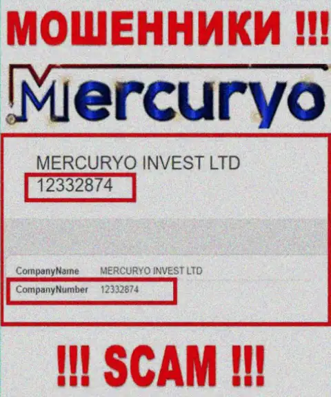 Рег. номер жульнической организации Меркурио Ко - 12332874