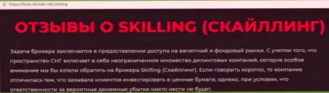 Skilling - это организация, совместное взаимодействие с которой доставляет лишь потери (обзор)