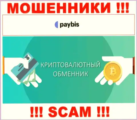 Крипто обменник - направление деятельности незаконно действующей компании PayBis