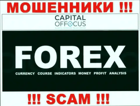 С организацией Capital OfFocus работать слишком рискованно, их сфера деятельности FOREX - это разводняк