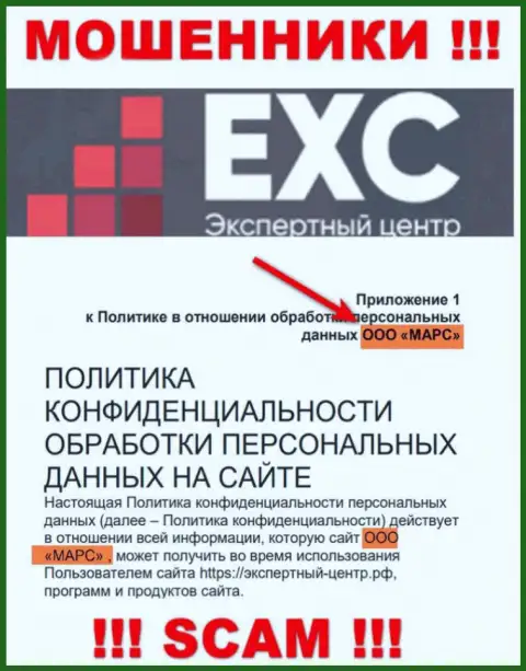 Вот кто управляет организацией Экспертный Центр России - это ООО МАРС