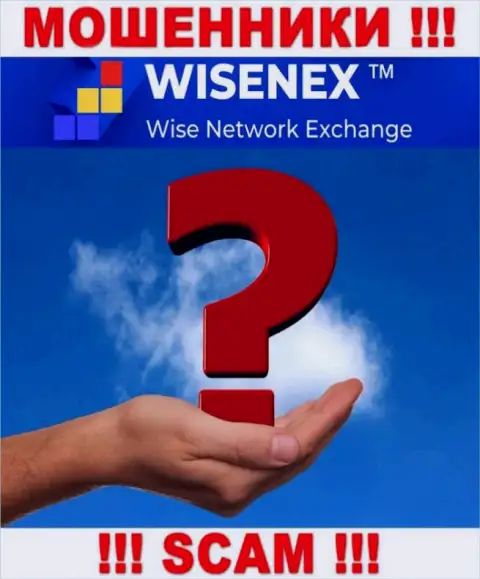 Разобраться кто именно является директором компании WisenEx не представилось возможным, эти разводилы промышляют кидаловом, в связи с чем свое начальство тщательно скрывают