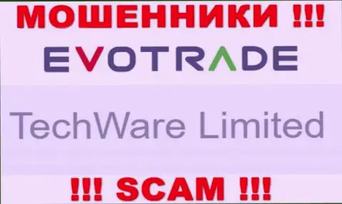 Юридическим лицом ЕвоТрейд Ком является - TechWare Limited