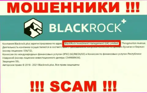Владельцами BlackRock Investment Management (UK) Ltd является компания - БлэкРок Инвестмент Менеджмент (УК) Лтд