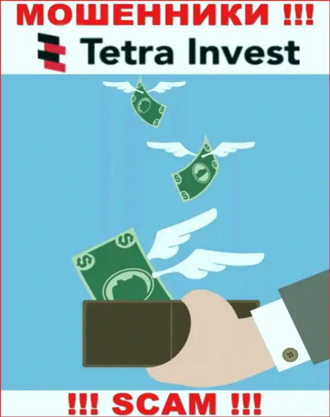 Если ждете прибыль от совместного сотрудничества с брокерской организацией Tetra Invest, то зря, эти махинаторы обуют и Вас