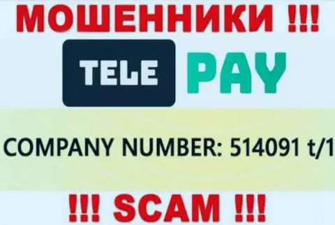 Регистрационный номер Tele Pay, который размещен мошенниками на их интернет-портале: 514091 t/1
