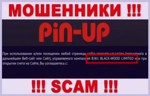 Кидалы PinUpCasino принадлежат юридическому лицу - B.W.I. BLACK-WOOD LIMITED