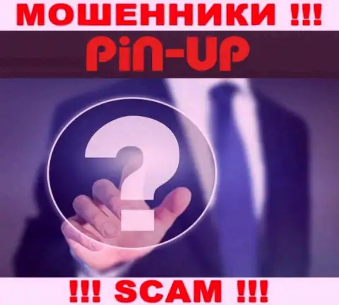 Не связывайтесь с интернет мошенниками Pin Up Casino - нет инфы о их прямом руководстве