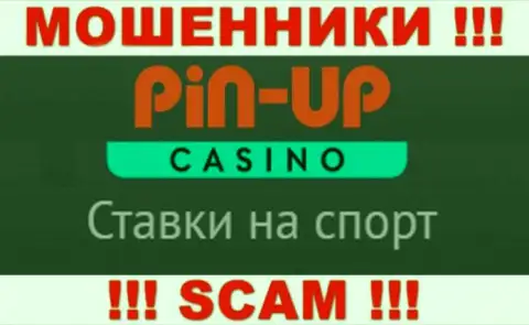 Основная работа PinUp Casino - это Казино, будьте крайне осторожны, промышляют противозаконно