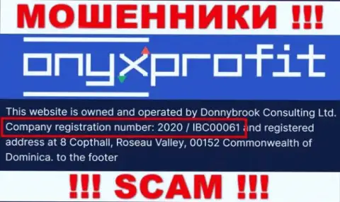 Рег. номер, который принадлежит компании OnyxProfit Pro - 2020 / IBC00061