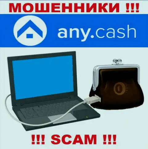 Any Cash - это МАХИНАТОРЫ, направление деятельности которых - Цифровой онлайн кошелек