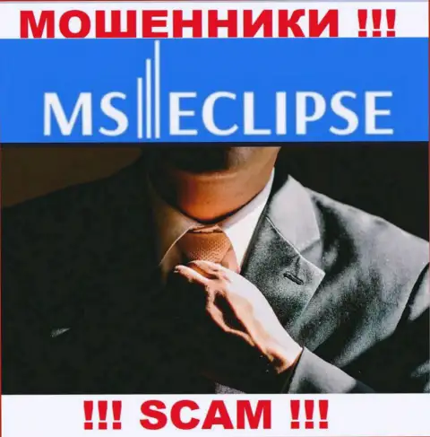 Информации о лицах, руководящих MS Eclipse во всемирной интернет паутине найти не представилось возможным