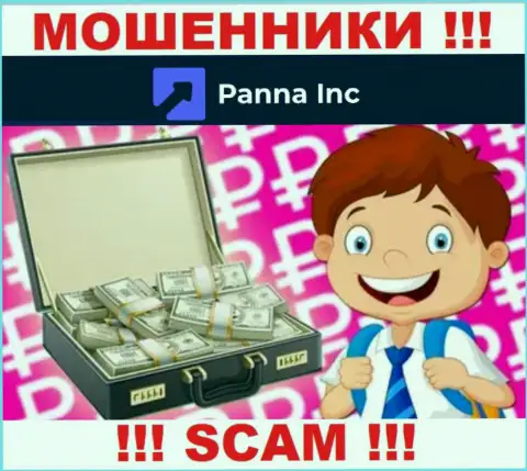 Panna Inc ни рубля Вам не дадут вывести, не платите никаких комиссионных сборов