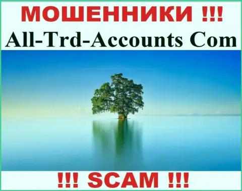 All Trd Accounts прикарманивают финансовые активы и выходят сухими из воды - они скрыли информацию о юрисдикции