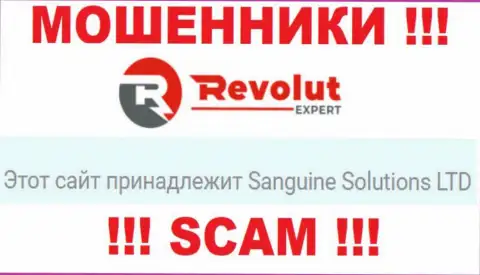 Информация об юридическом лице internet-обманщиков RevolutExpert Ltd