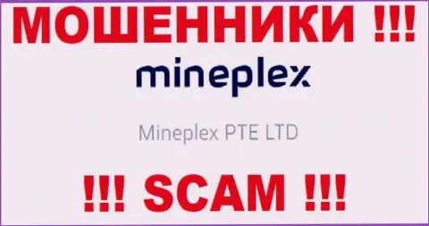 Владельцами МайнПлекс Ио является организация - Mineplex PTE LTD