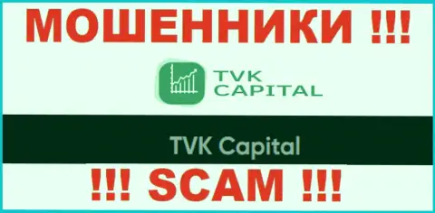 ТВК Капитал - это юридическое лицо мошенников TVK Capital