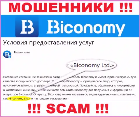 Юридическое лицо, владеющее ворами Biconomy Ltd - это Biconomy Ltd
