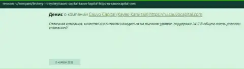 Организация КаувоКапитал описана в отзыве на сайте Ревокон Ру