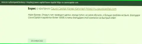 Комплиментарный реальный отзыв об дилинговой компании Кауво Капитал на web-сервисе revocon ru