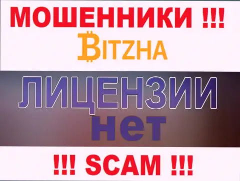 Разводилам Bitzha не дали лицензию на осуществление деятельности - воруют деньги