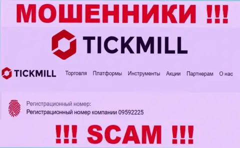 Наличие номера регистрации у Tickmill Com (09592225) не значит что контора солидная
